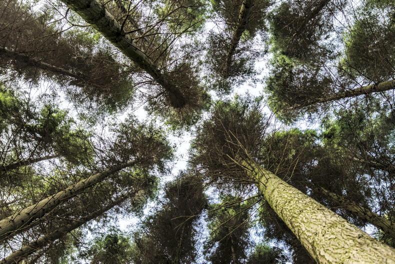 Definition of farmer to be discussed at Oireachtas committee