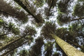 Definition of farmer to be discussed at Oireachtas committee