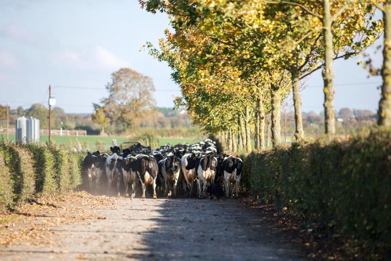 Behind the scenes on the host farms