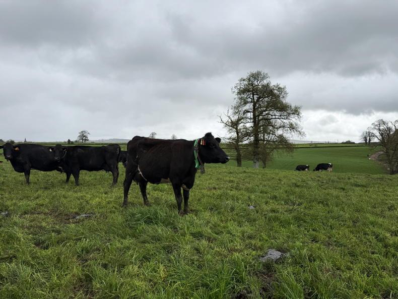 High EBI continues to deliver for the next generation