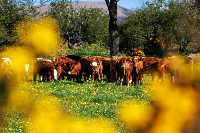Highs of 21°C forecast for Friday