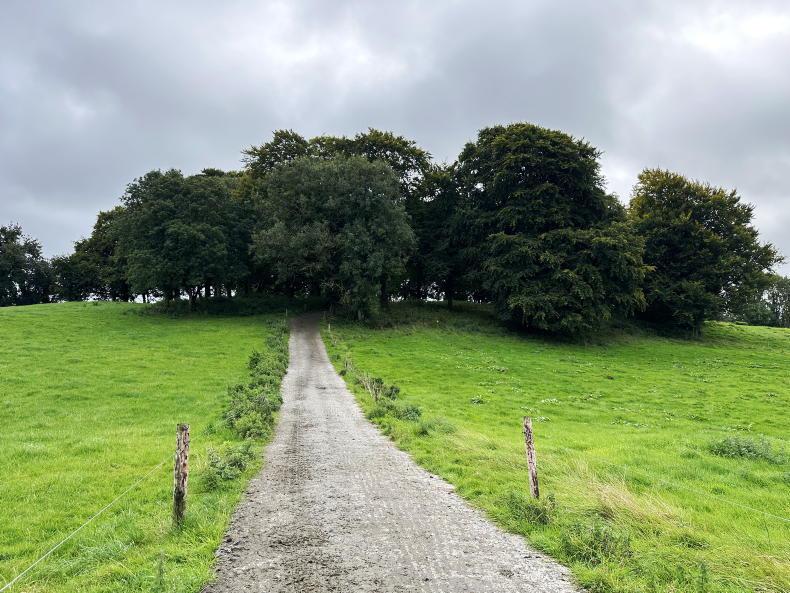 Leasing land: what every landowner needs to know