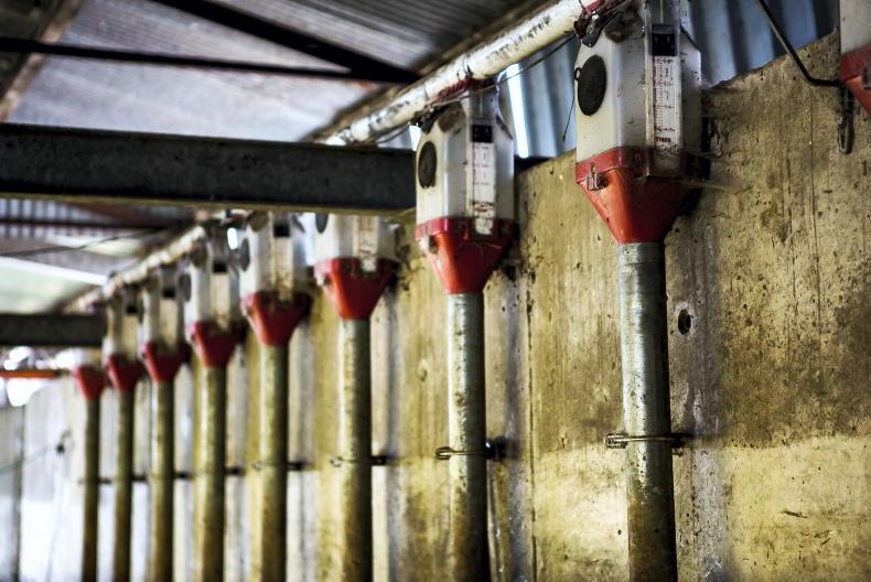 ICMSA calls for 14% ration start date to be extended to 15 May