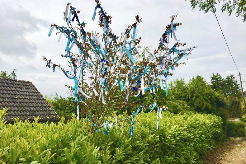 A happy wife, a happy life’...songs and stories of the May bush