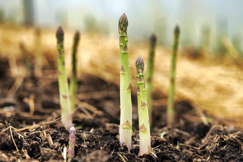 'Why do we keep harping on about seasonal eating?