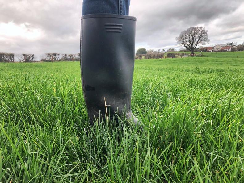 Dairy Management: good weather finally appears