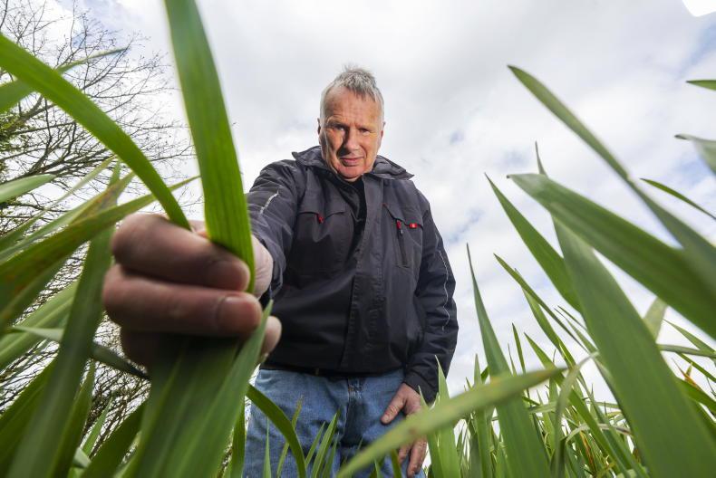 My Farming Week: Edmond Phelan, Islandkeane, Fenor, Co Waterford