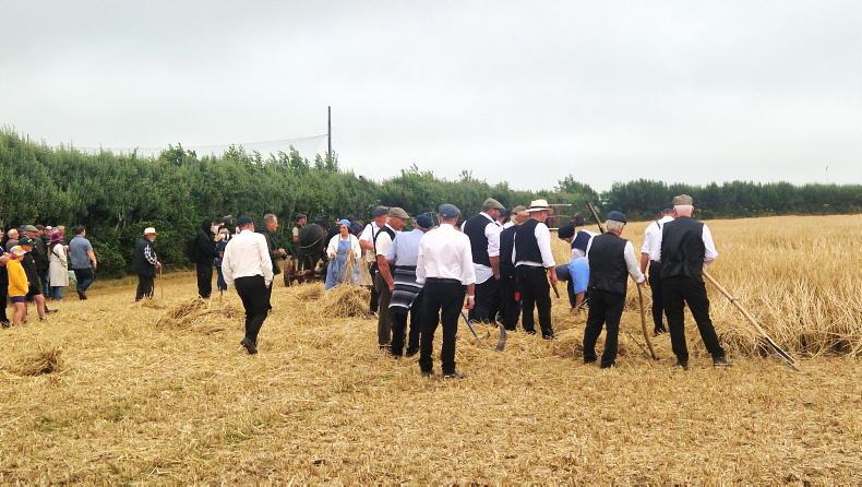 Census shows a very different Ireland