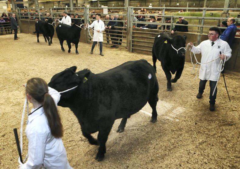 Northern Ireland diary of events