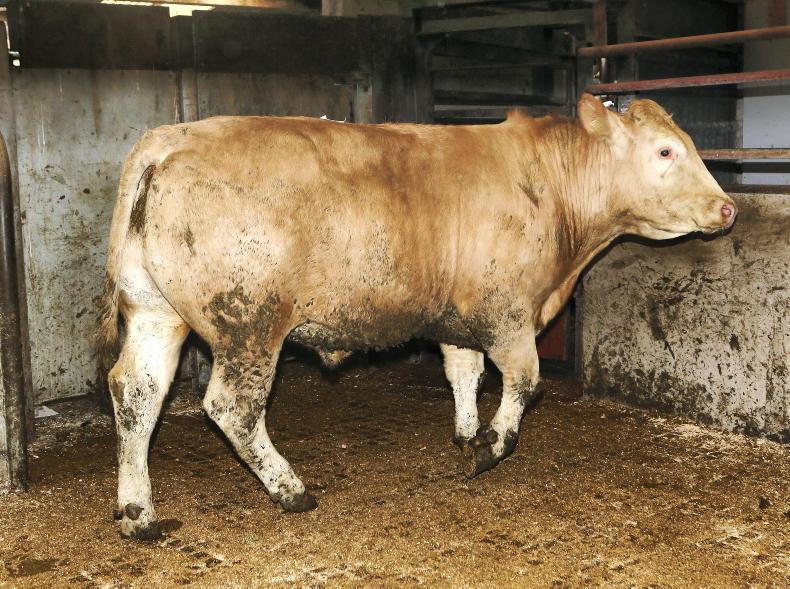 Northern View: prices paid continue to edge down