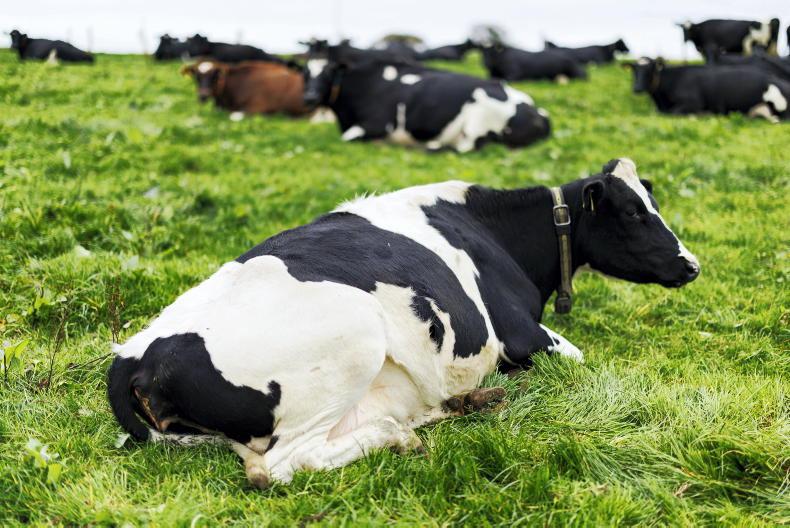 Processors set March milk prices