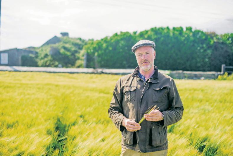 Money Mentor: will Revenue take half if I wind up my tillage farm?