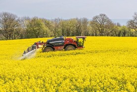 Tillage Podcast: feeding crops, spring sowing and minding plants