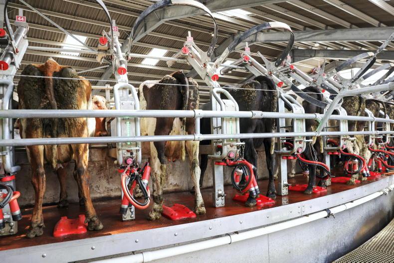 Agri jobs: farm worker required for 750-cow dairy farm