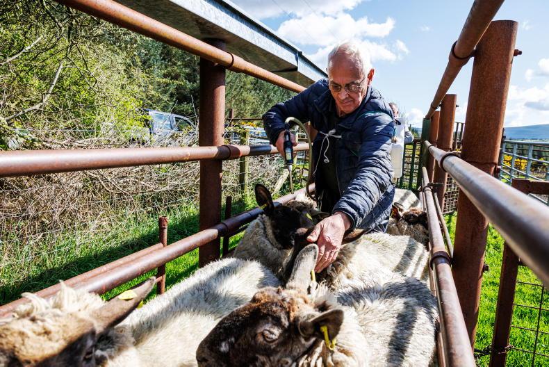 In Pictures: this week in pictures as fieldwork, marts and events unfold