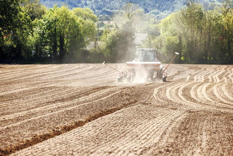 Cutting CAP would be a historic mistake – EU farmers