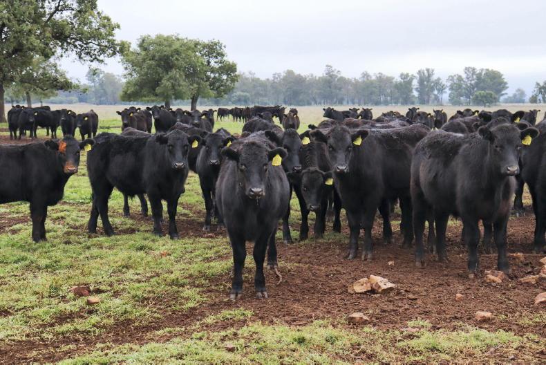 Major Aussie retailer rows in to help farmers