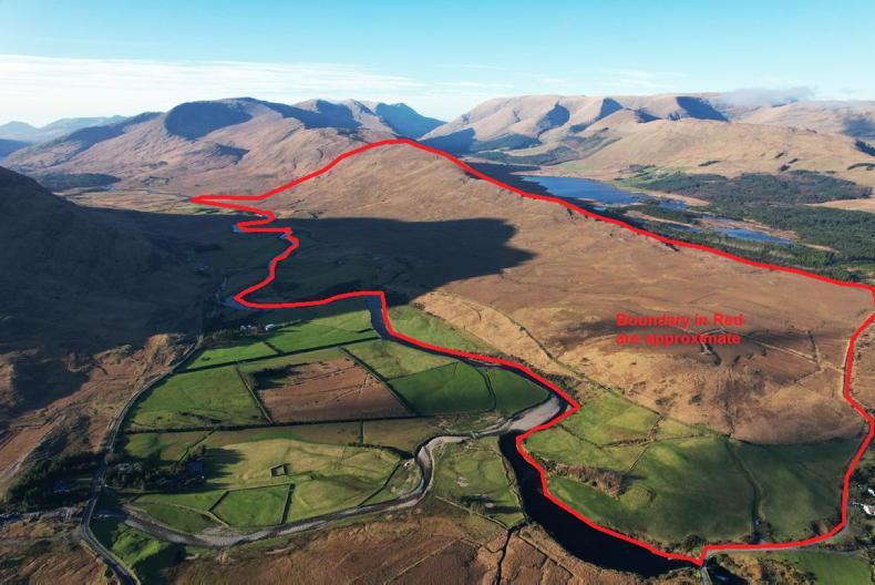Speculation that Teagasc poised to buy Leenane hill farm