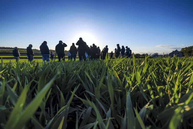 Weekend weather: fine weather to continue