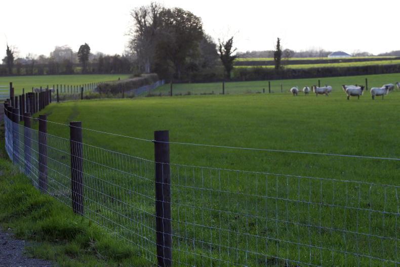 Decision letters for ACRES NPIs to be received in coming days - Department