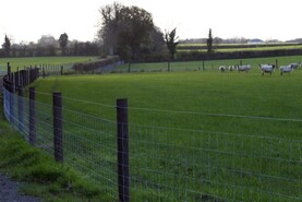 Decision letters for ACRES NPIs to be received in coming days - Department