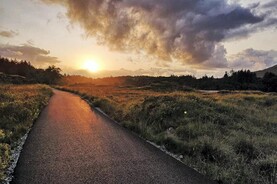 Proposed Cork to Kinsale greenway not fit for purpose – IFA