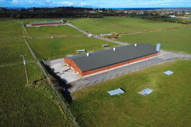 Egg-citing farm to fork opportunity in Louth