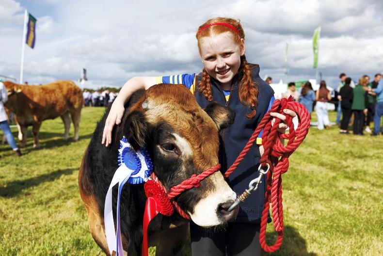 Summer show season comes crashing in