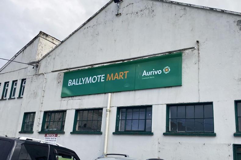 Grass buyers out in force in Ballymote mart with over €6/kg for cattle