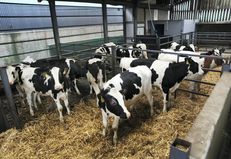 Price gaps narrow in 1m-litre leagues