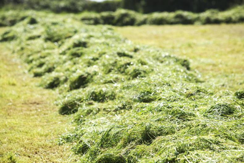Galway farmer denies kicking neighbour in testicles in row over machinery noise
