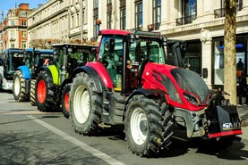 Colm McCarthy: hauliers unlikely allies for farm organisations