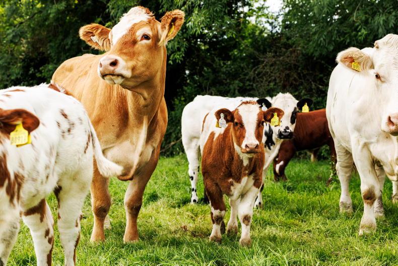 Farmers with off-farm jobs face battle to avoid exclusion from CAP