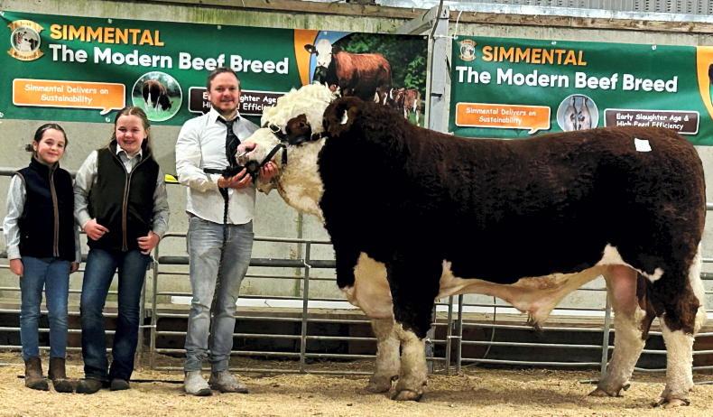 Siegfried son shoots to €10,100 in Tullamore