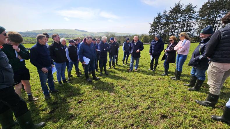 Farmers maintain grass levels with less N