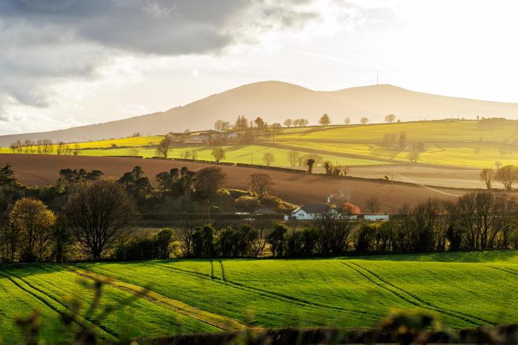 Average price for good agricultural land up 7% in 2025 