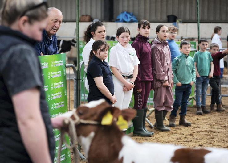 Future is in safe hands as young stockpersons learn their craft 