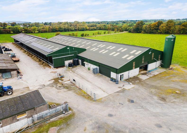 Investment in Rockwell adds ‘another string’ to the Coolmore Stud bow