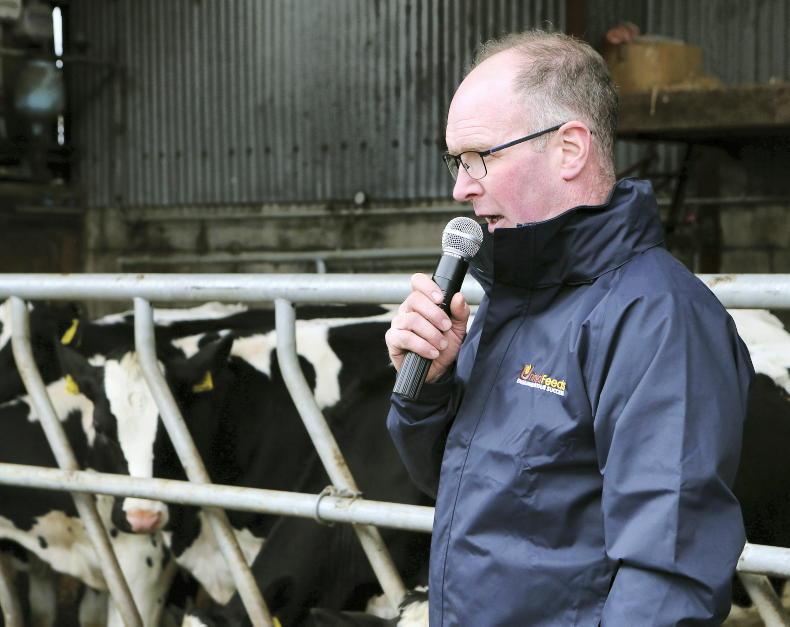 Attention to detail in the calf house