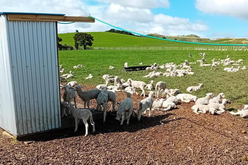 Market Digest: stories from around the world