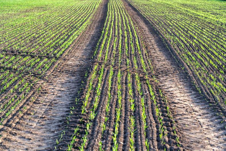 Tillage management: plenty to be done, maize drilling well underway