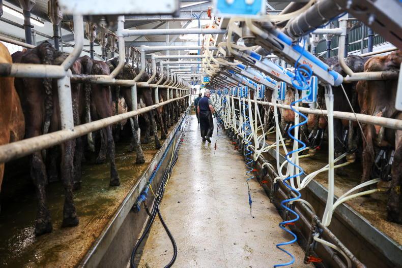 Fewer new entrants to dairy having no impact on volume
