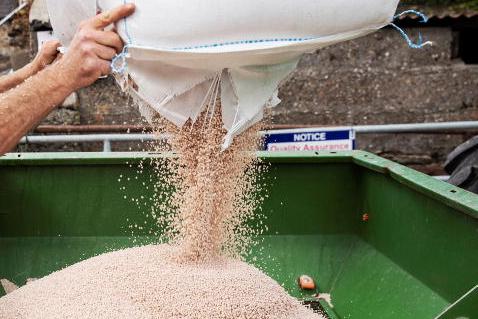 Growth rates starting to take off 