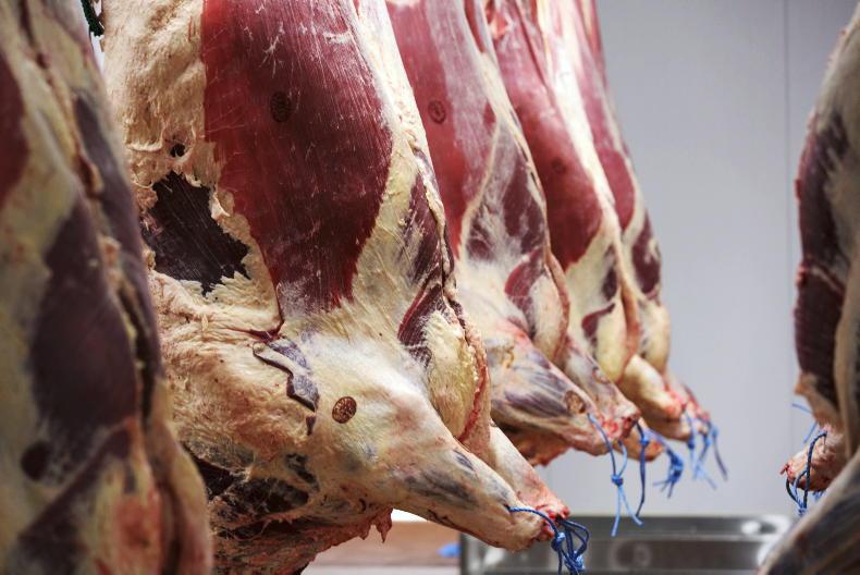 Cattle kill down 15% in 2026  