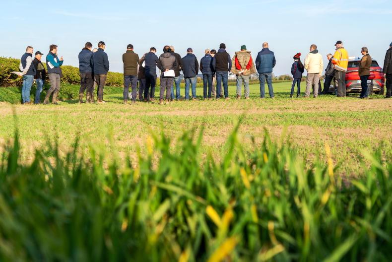 Grain Trends: markets lift on fundamentals