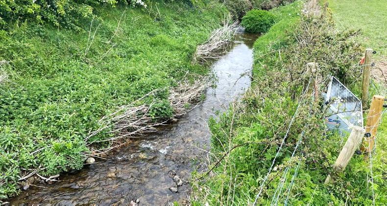 How these Kilkenny farmers improved water quality in their local waterbodies