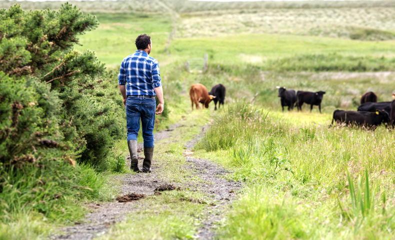 Deadline of 28 May for ACRES landscape actions applications