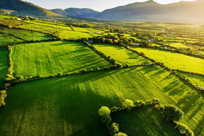 Laverty up on the pitch and Down on the farm