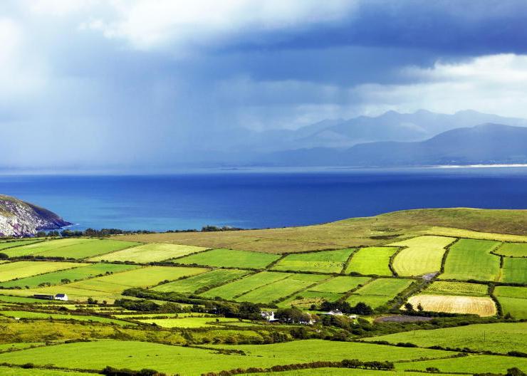 EU proposals could lead to ‘less common CAP’ 