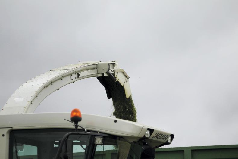 Confessions of an Irish contractor